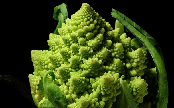 Broccoli1
