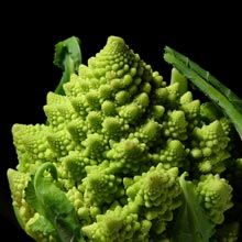 Broccoli1